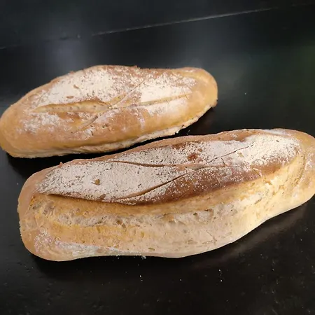 Les Figues * Hyères